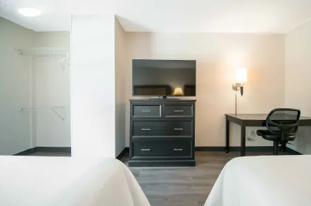 Studio Suite - 2 Queen Beds