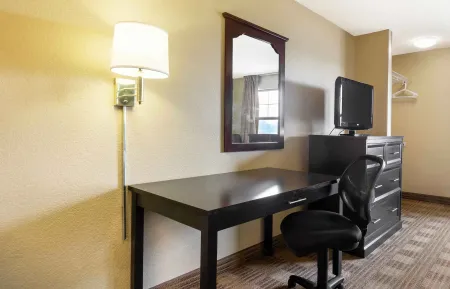 Studio Suite - 2 Full Beds